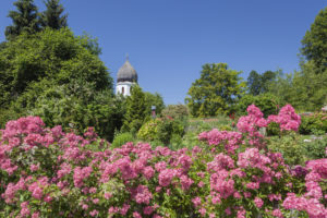 Klostergarten und Glockenturm von Kloster Frauenwörth auf der Fraueninsel, Frauenchiemsee, Chiemsee, Chiemgau, Oberbayern, Bayern, Süddeutschland, Deutschland, Europa Klostergarten und Glockenturm von Kloster Frauenwörth auf der Fraueninsel, Frauenchiemsee, Chiemsee, Chiemgau, Oberbayern, Bayern, Süddeutschland, Deutschland, Europa